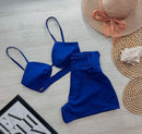 Conjunto Arara Azul